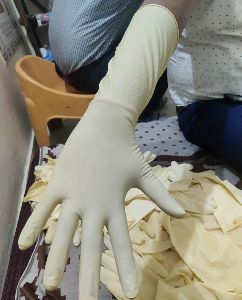 latex powder free gloves