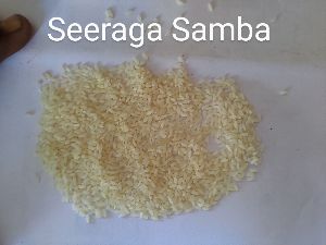 Samba Rice