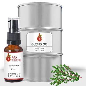 Buchu Oil