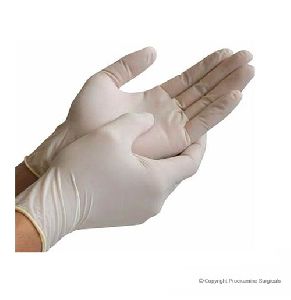 Examination Gloves Latex Powdered