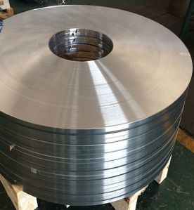 Stainless Steel 301 Strip