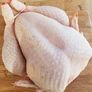 Halal frozen full whole chicken/parts/paws/feet/mid wing/tips/boneless breast