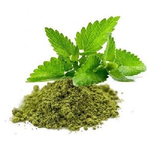 Green Tulsi Powder
