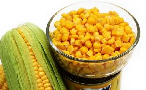 ROW CORN