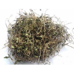 Dried Brahmi Roots