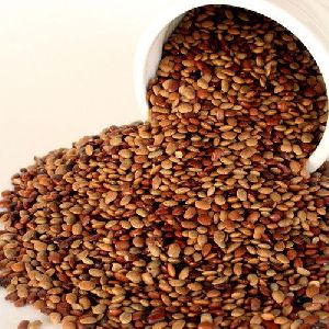 horse gram seeds for sell at low price