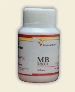 MB Bolus