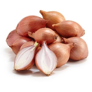 Fresh Shallot Onions