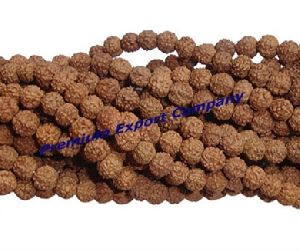 Rudraksha Beads and Mala