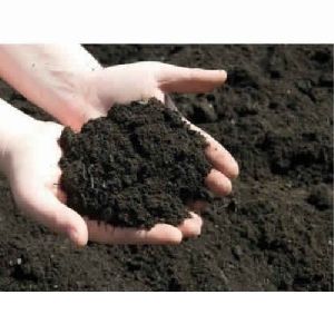Organic Soil Conditioner