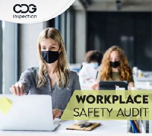 Industrial Health and Safety Audit