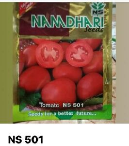 NS501 TOMATO SEED