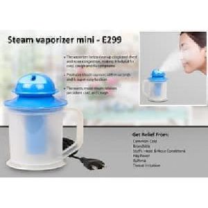 Steam vaporizer