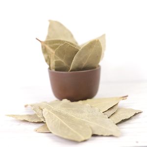 Clean And Good Size Bay Leaves