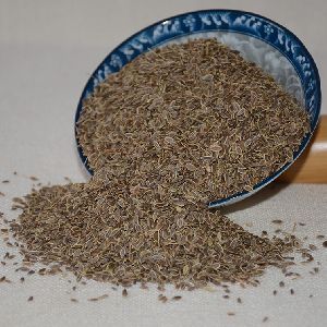 Dill seeds for sale