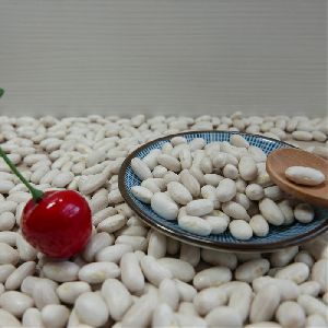 Egypt white kidney beans
