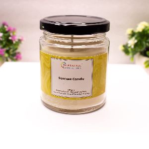 Your Spiritual Revolution Success Candle for Good Luck Prosperity Career Goals