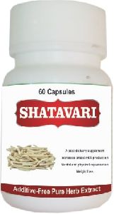 Shatavari Capsules