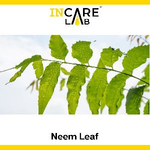 neem leaf