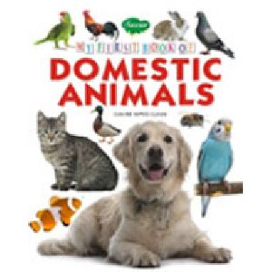 My First Book of Domestic Animal