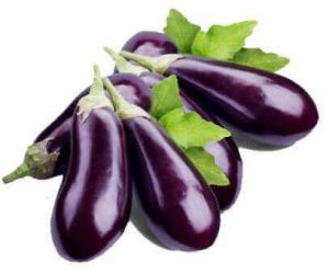 Fresh Brinjal, For Cooking