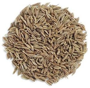 Green Cumin Seeds