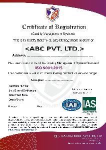iso 9001 2015 certification service (QMS)