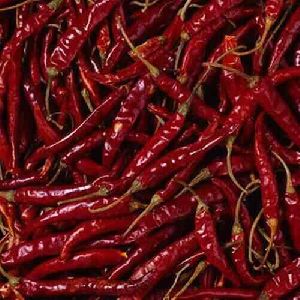 S 334 - Sanam Red chilli