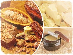 COCOA OIL - THEOBROMA OIL - Cocoa Powder