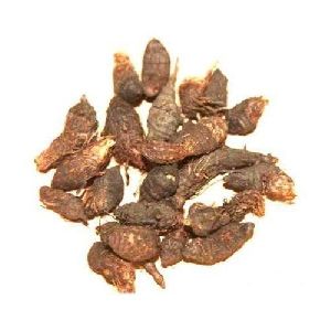 Dried Nagarmotha 