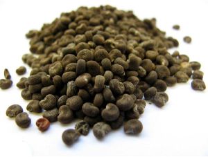 Ambrette Seed Powder