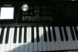 roland bk-5 Musical Keyboards
