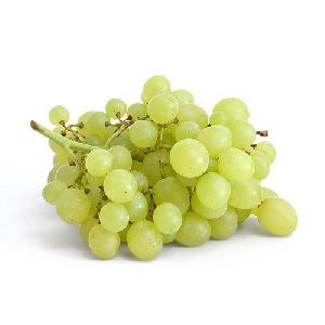 fresh green grapes