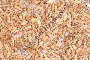 Cinnamon Seeds