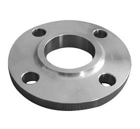 Stainless Steel Flanges