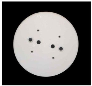 Round PVC Plate