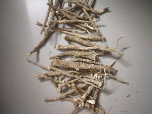 Ashwagandha dry roots