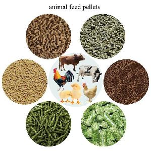 Animal Food Latest Price from Manufacturers, Suppliers & Traders