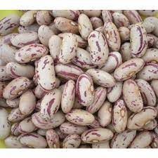 Natural kidney beans, Grade Standard : Food Grade, Form : Granules