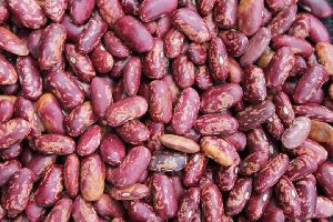 red kidney beans,Red spackeld kidney beans,white kidney beans