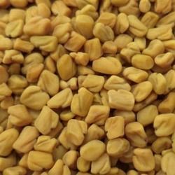 Organic Fenugreek Seeds