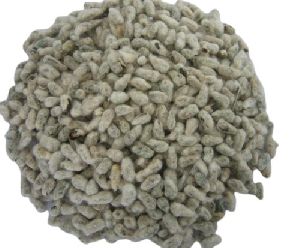 Loose Cotton Seed