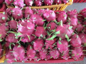 Dragon Fruits