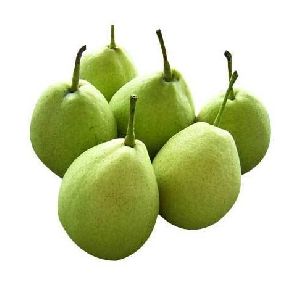 Golden Pear Fruit
