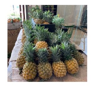Golden Pineapples