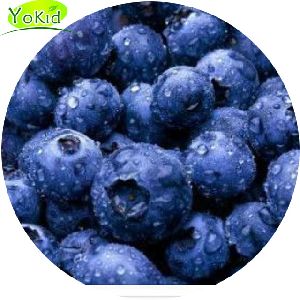IQF Bulk Blueberries