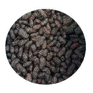 Mulberry Fruit Berry