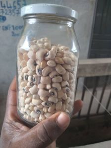 agromboa Natural Sell Black Eyed Beans, Packaging Type : White