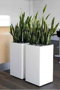frp tall square planters