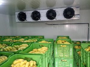 Banana Ripening Chamber